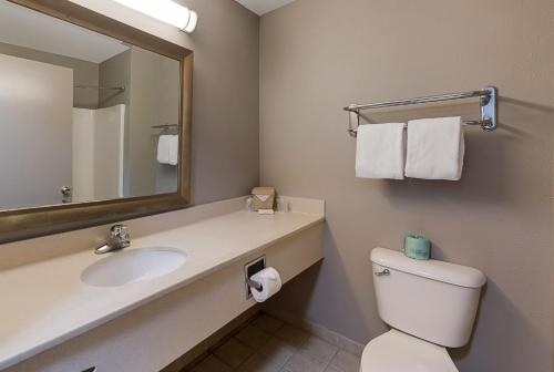 een badkamer met een wastafel, een toilet en een spiegel bij Red Roof Inn Newport News - Yorktown in Yorktown