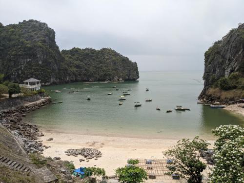 a group of boats in a large body of water at Tung Quang Hotel in Cat Ba
