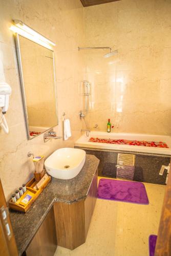 a bathroom with a sink and a bath tub at Dhauladhar Heights Resort in Dharamshala