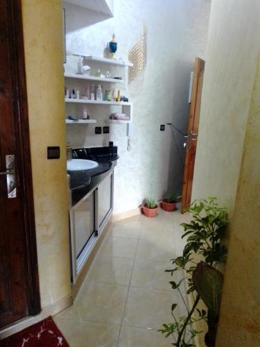 a bathroom with a sink and a counter with plants at Meknès kamilia in Meknès