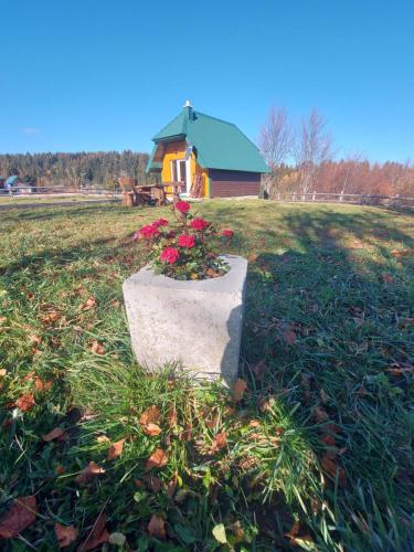 a flower pot in a field with a house in the background at Durmitor Bungalows in Žabljak