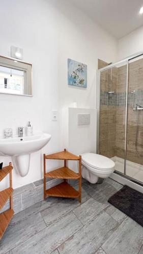 ein Bad mit einem WC, einem Waschbecken und einer Dusche in der Unterkunft Chambre moderne proche Monaco G in Beausoleil