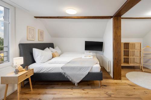ein Schlafzimmer mit einem großen Bett und einem TV in der Unterkunft habu bei OLMA cosy stay in St. Gallen