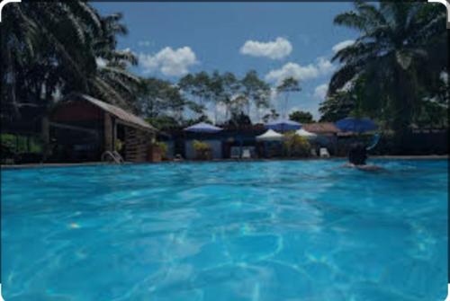 a large pool of blue water with houses and palm trees at Lodge del Abuelo - Divina Montaña in Pucallpa