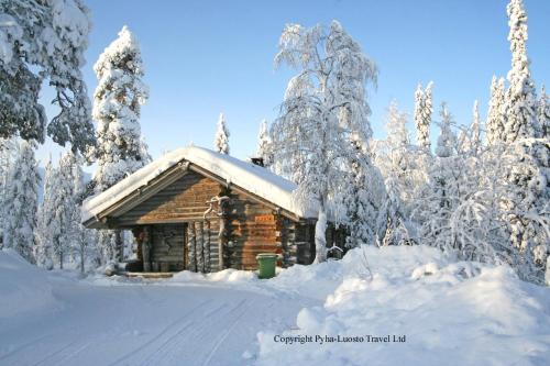 冬のLog House Siestaの様子