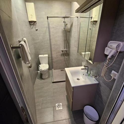 a bathroom with a shower and a sink and a toilet at Olympic Wellness & Spa Apartments in Belgrade
