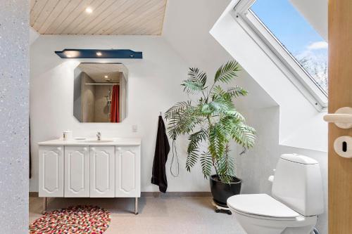 a bathroom with a sink and a toilet and a plant at Bed & Breakfast “Den Gamle Lade I Hejls” in Hejls