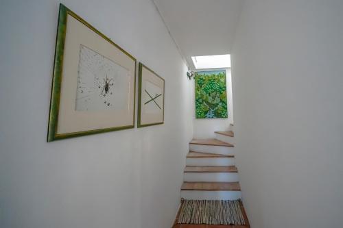 Fotografie z fotogalerie ubytování Agriturismo La valle v destinaci Peccioli