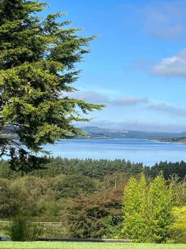 a view of a lake with a tree in the foreground at Kylemore Lakeview Retreat in Blessington