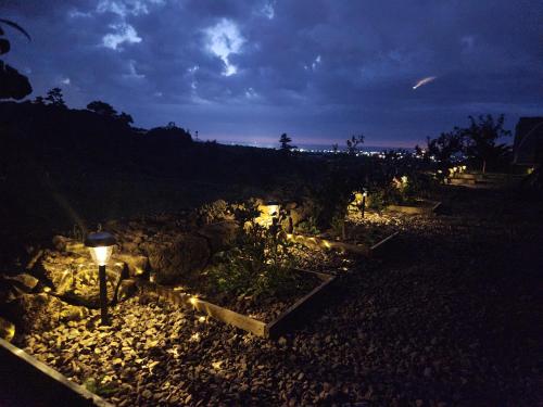 a group of sheep in a garden at night at Sunshine Aewol Entire House in Jeju