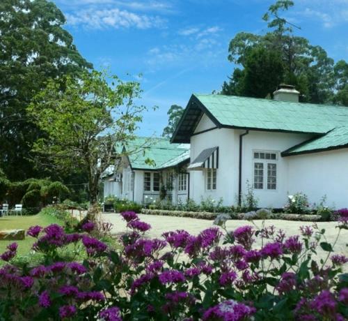 a white house with purple flowers in front of it at The Trevene Hotel in Nuwara Eliya