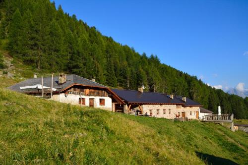 a building on the side of a hill at Nestalp Malga Campo in Peio