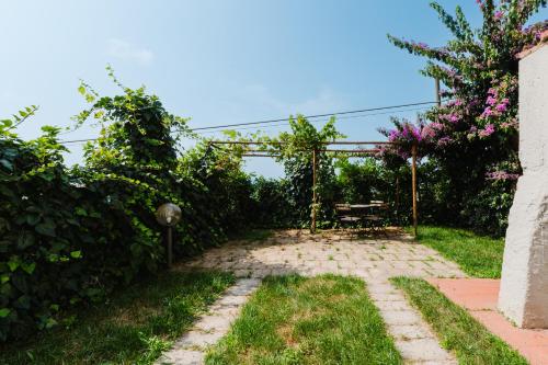 Zahrada ubytování Tognazzi Casa Vacanze - Panoramic Villa