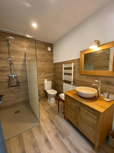 ein Bad mit einem Waschbecken, einer Dusche und einem WC in der Unterkunft Otarkia in Vaison-la-Romaine