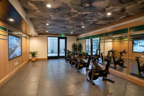 Fitness centrum a/nebo fitness zařízení v ubytování Mountain View 1br w wd pool gym nr tech HQs SFO-1200