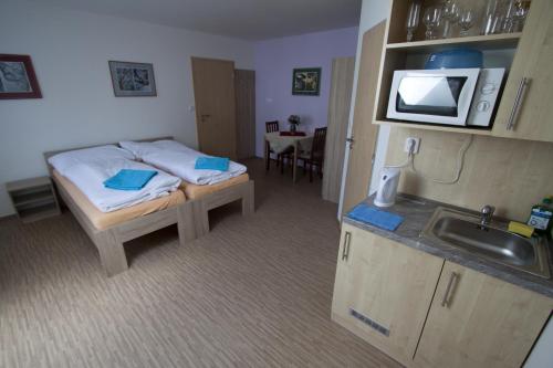 Kuchyň nebo kuchyňský kout v ubytování Vila Aneta