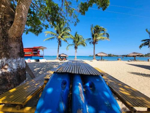 a blue boat on a beach with palm trees at Bolo Hills Beach Club And Residence in Alaminos