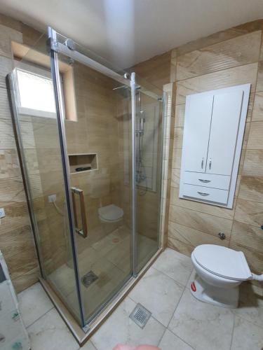 a bathroom with a shower and a toilet at Zlatna Vila in Kanjiža