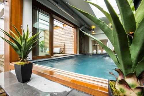 - une piscine dans une maison ornée de plantes dans l'établissement SWIMCASALILLE Loft piscine intérieure 10 mn gares, à La Madeleine