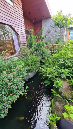 a koi pond in front of a house at An Nhiên Villa in Bao Loc