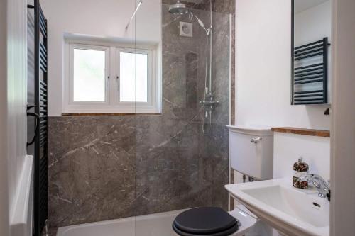 a bathroom with a shower and a toilet and a sink at The Lookout in Fritham