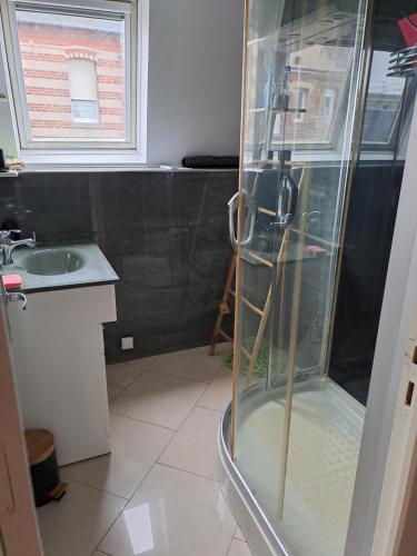 une salle de bain avec douche et lavabo dans l'établissement Appartement Berck sur Mer, à Berck-sur-Mer