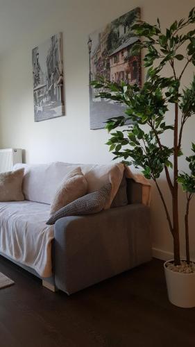 een woonkamer met een bank en een boom bij VENICE VILLA Apartment, self check-in 24h, free parking in Poznań