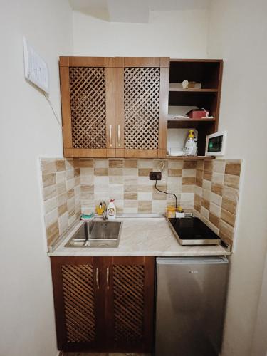 a small kitchen with a sink and a refrigerator at At Pikotiko's - Korca City Rooms for Rent in Korçë