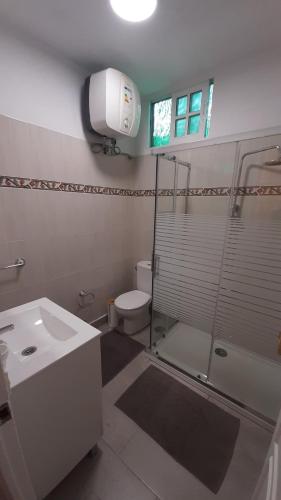a bathroom with a toilet and a shower and a sink at AbumaHouse in Los Llanos de Aridane