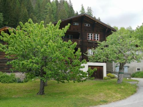 uma casa de madeira com árvores em frente em Im Mättelti em Niederwald