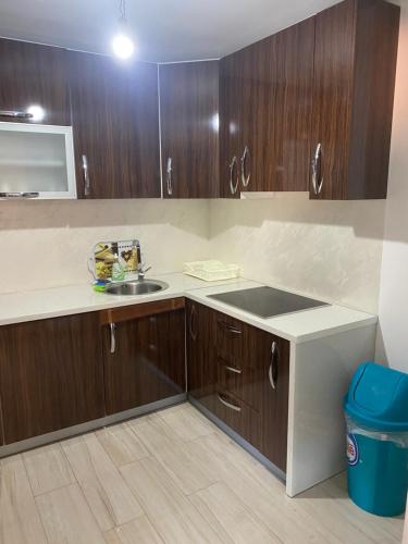 uma cozinha com um lavatório e armários de madeira em Apartment Balicevac2 Ilidza em Saraievo