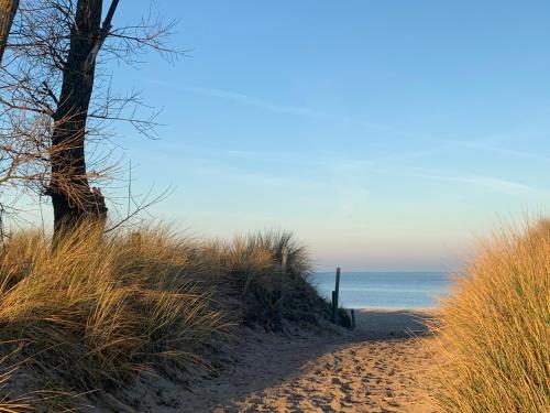 a sandy beach with a tree and the ocean at GUT KLETKAMP "Altes Backhaus" - Freistehendes Landhaus mit 7 Schlafzimmern I Kamin I Garten & Terrasse I 15 Min zur Ostsee I Parkplätze I Hundefreundlich I Bar I WLAN in Kletkamp