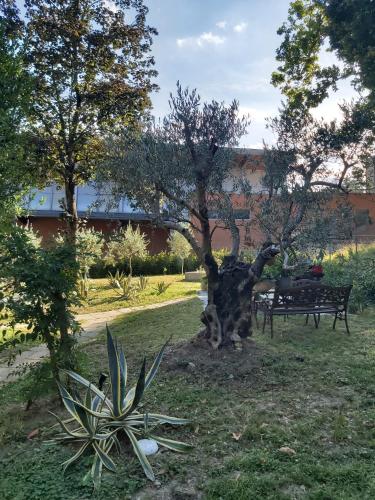 a tree in the middle of a park with a bench at B&B Borgo dei Cedri in Pontecchio