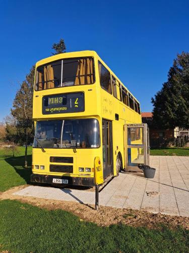 The Big Yellow Bus – Photos 2