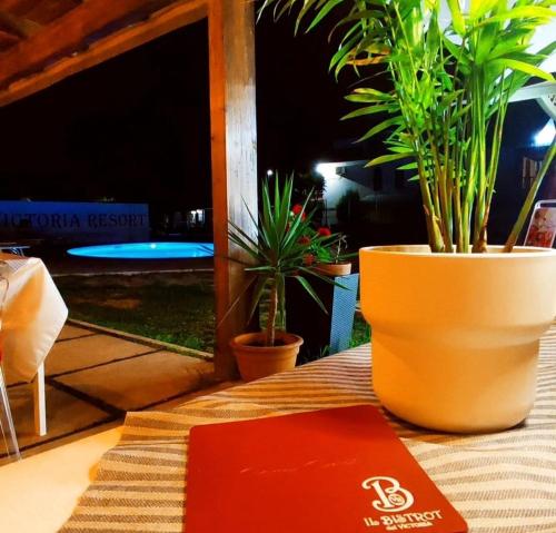a red napkin sitting on top of a table with plants at Victoria Resort in Ascea