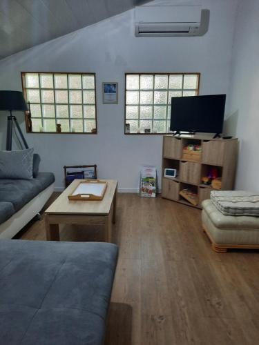 a living room with a couch and a tv at Gîte ma vie là avec jacuzzi privatif in Saint-Julien-de-Cassagnas