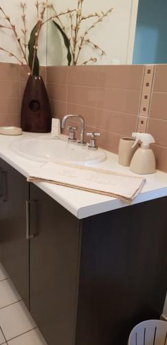 La salle de bains est pourvue d'un lavabo et d'un miroir. dans l'établissement Maison de Chocolate, à Broken Hill