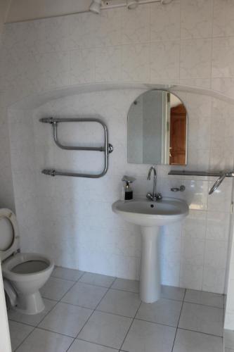 a bathroom with a sink and a toilet and a mirror at Liškiavos vienuolyno ansamblis in Liškiava