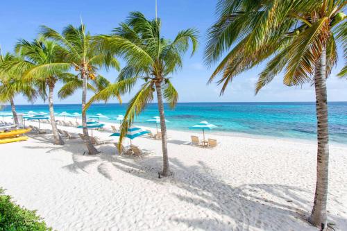 a beach with palm trees and chairs and the ocean at Zemi Beach House, LXR Hotels & Resorts in Shoal Bay Village