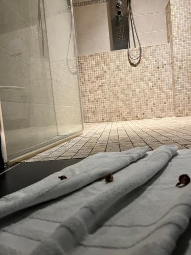 La salle de bains est pourvue d'une douche et d'un matelas au sol. dans l'établissement Diane Luxury 1, à Roubaix
