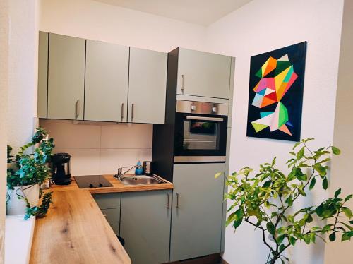 Kuchyň nebo kuchyňský kout v ubytování Apartment Gimpelchen