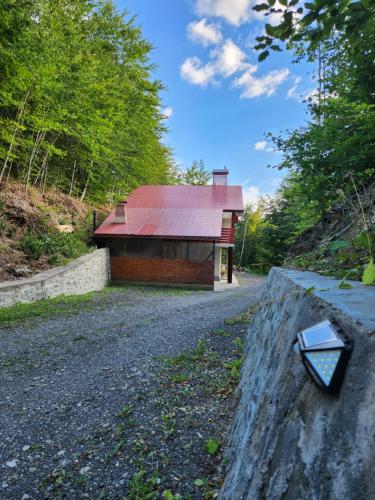 a small building with a red roof on a road at Pensiunea Dana-Maria in Siriu