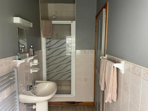 W łazience znajduje się umywalka i prysznic. w obiekcie The Horseshoe w mieście Lochgilphead