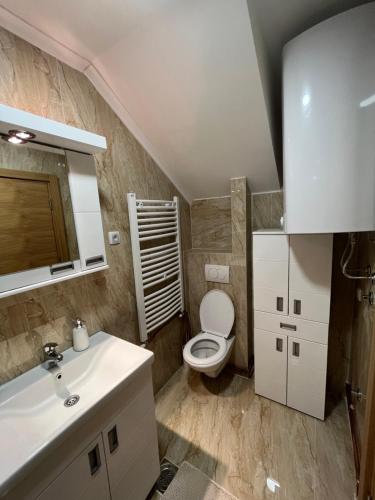 a bathroom with a white toilet and a sink at Apartmani Ristanović in Zlatibor