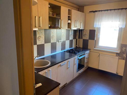 a kitchen with a sink and a counter top at Apartament Piata Verde in Timişoara