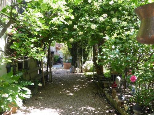 a garden with a bunch of flowers and trees at Pension Zur Rose in Weil am Rhein