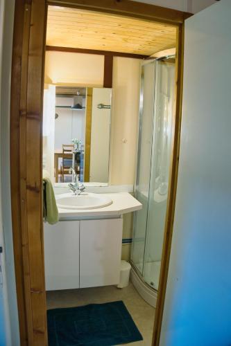 une salle de bain avec un lavabo et une douche dans l'établissement Les chalets de Gaillac, à Gaillac