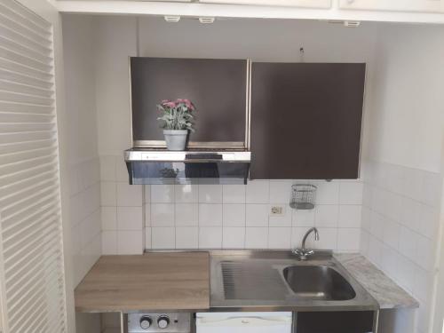 a kitchen with a sink and a potted plant at Terrace! in Rome