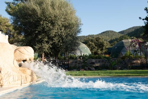 博德魯姆的住宿－Lusso Glamping Bodrum，公园中游泳池中央的喷泉
