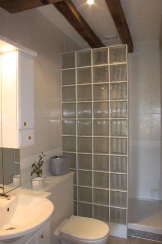 La salle de bains est pourvue d'une douche, de toilettes et d'un lavabo. dans l'établissement Gîte Moulin d'Olivet, 